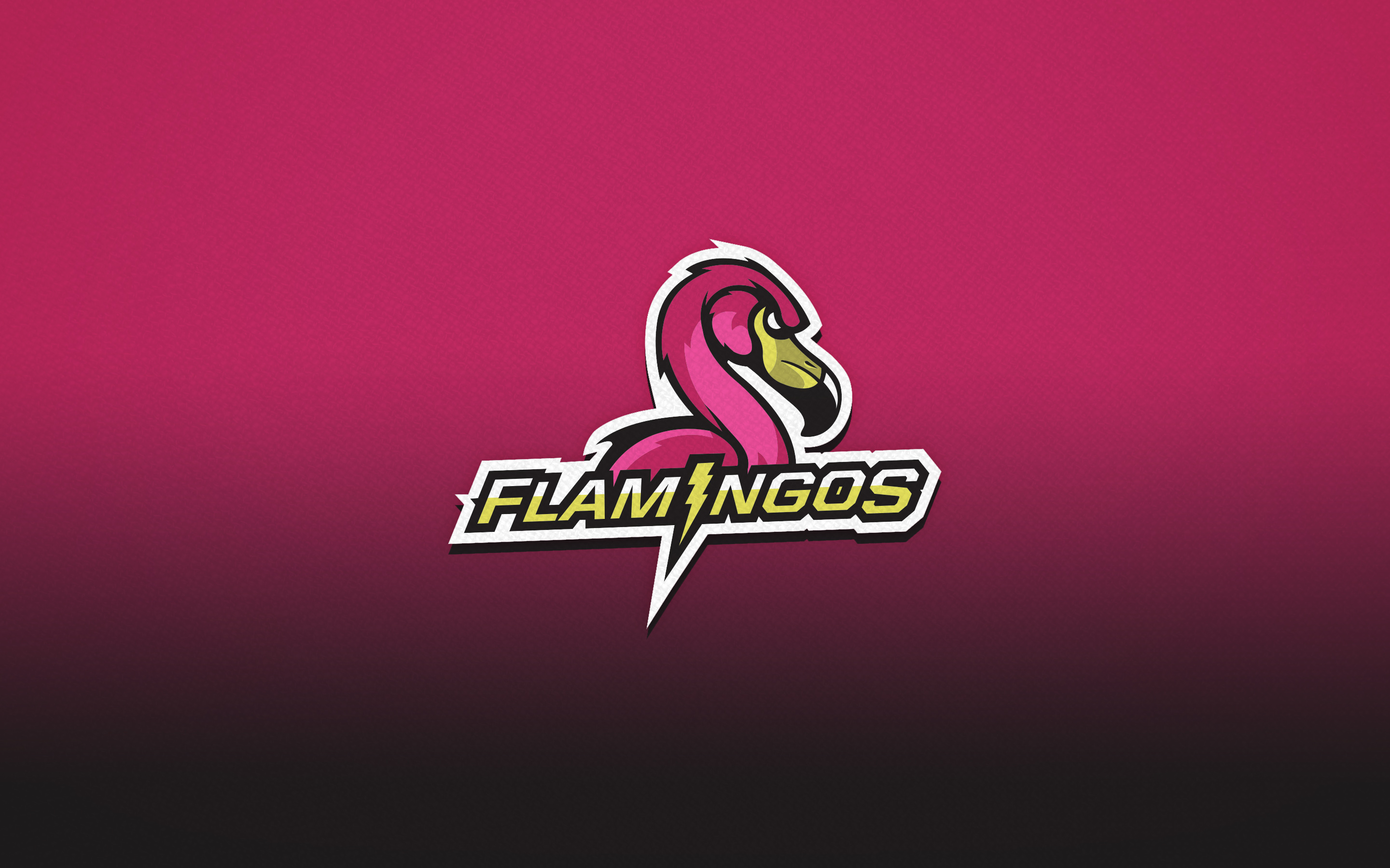 2018 Flamingos Desktop Background - Jersey