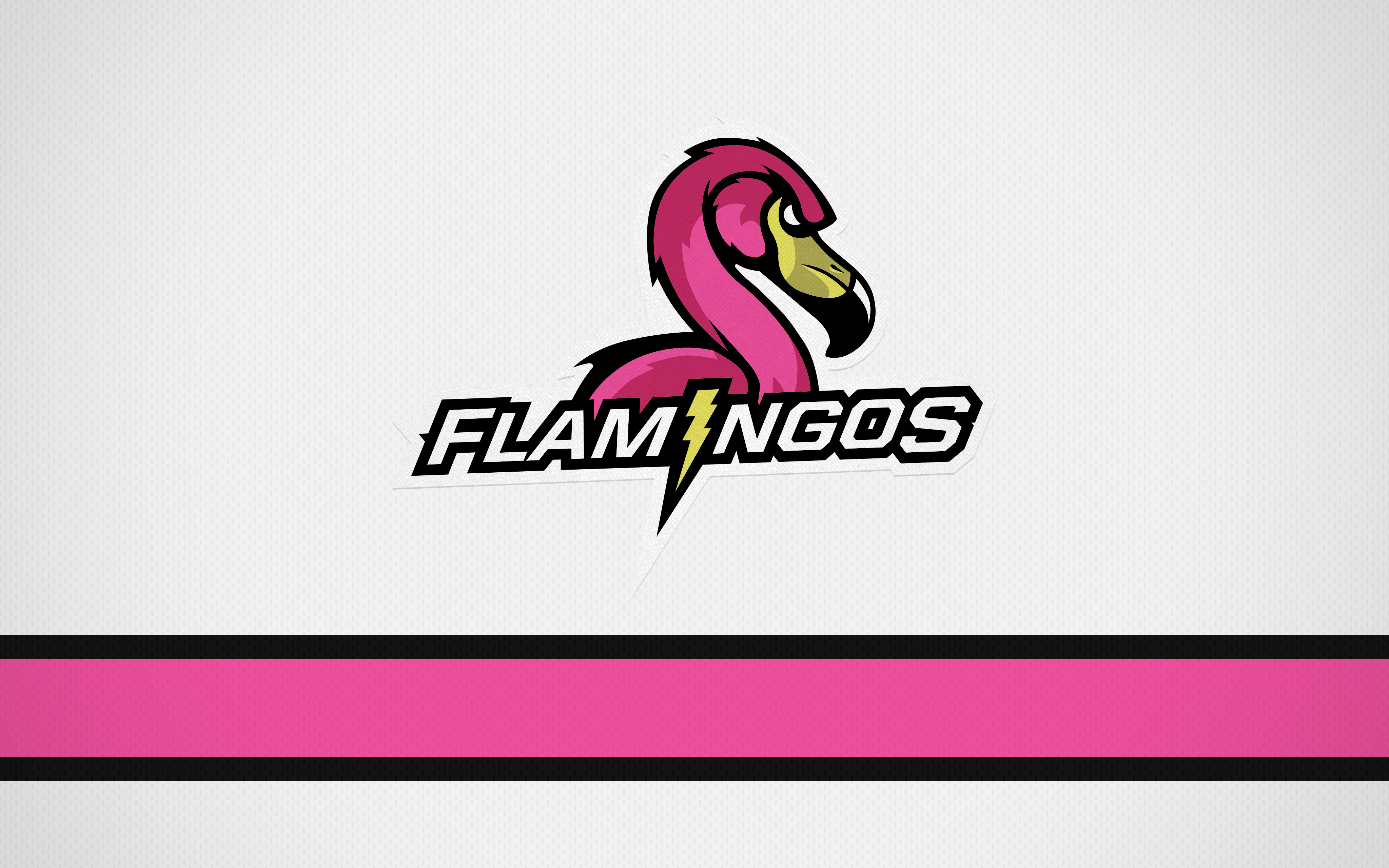 2023 Flamingos Jersey Away Jersey Desktop